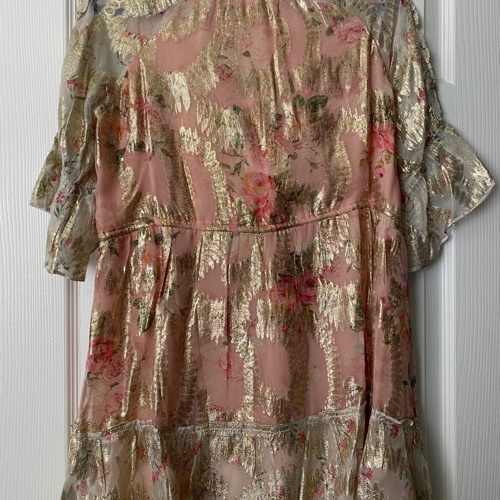 Hemant and Nandita Blush Shimmer Georgette Dress - Picture 4 of 4